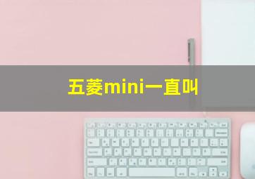 五菱mini一直叫