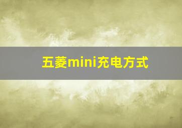 五菱mini充电方式