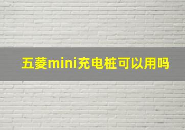 五菱mini充电桩可以用吗