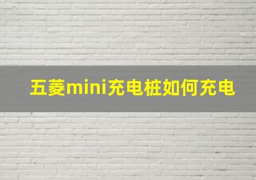 五菱mini充电桩如何充电