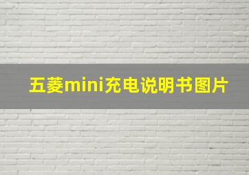 五菱mini充电说明书图片