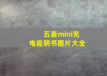 五菱mini充电说明书图片大全