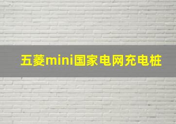 五菱mini国家电网充电桩