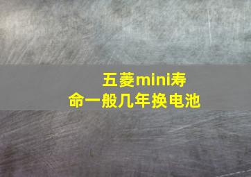 五菱mini寿命一般几年换电池