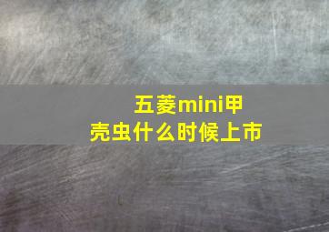 五菱mini甲壳虫什么时候上市