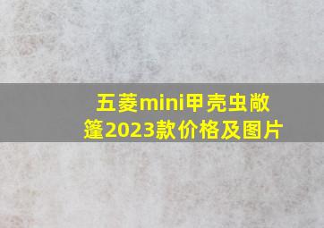 五菱mini甲壳虫敞篷2023款价格及图片