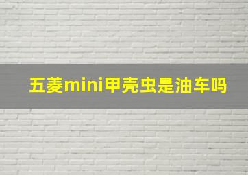 五菱mini甲壳虫是油车吗