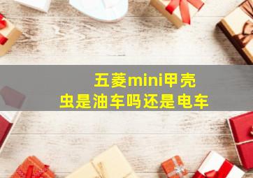 五菱mini甲壳虫是油车吗还是电车