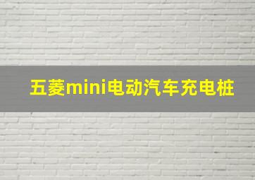 五菱mini电动汽车充电桩