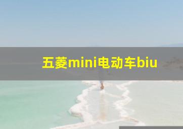 五菱mini电动车biu