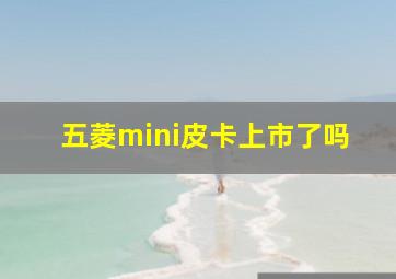 五菱mini皮卡上市了吗