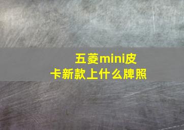 五菱mini皮卡新款上什么牌照