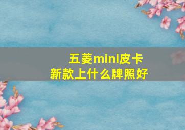 五菱mini皮卡新款上什么牌照好