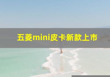 五菱mini皮卡新款上市