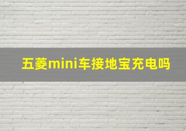 五菱mini车接地宝充电吗