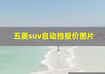 五菱suv自动挡报价图片