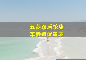 五菱双后轮货车参数配置表