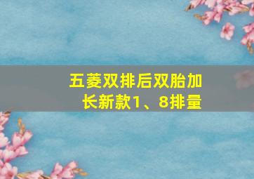 五菱双排后双胎加长新款1、8排量