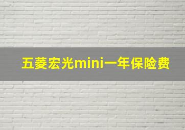 五菱宏光mini一年保险费