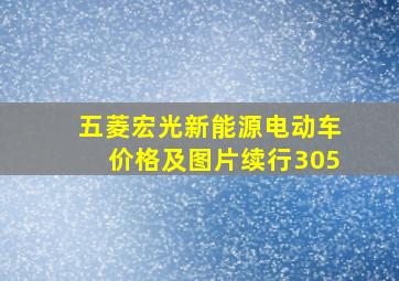 五菱宏光新能源电动车价格及图片续行305