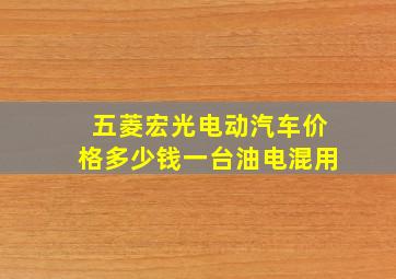 五菱宏光电动汽车价格多少钱一台油电混用