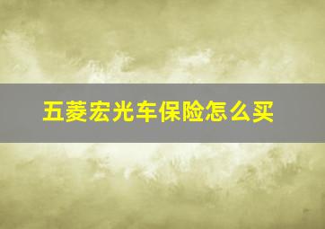 五菱宏光车保险怎么买