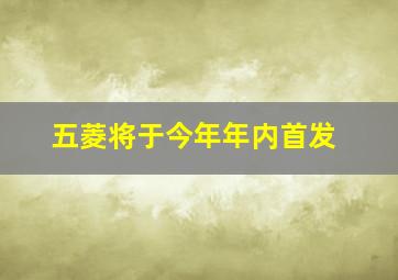 五菱将于今年年内首发