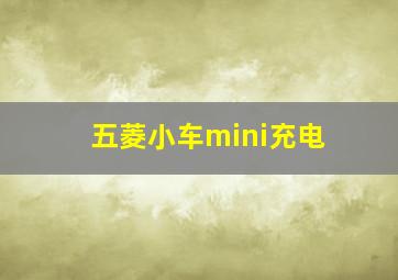 五菱小车mini充电