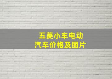 五菱小车电动汽车价格及图片