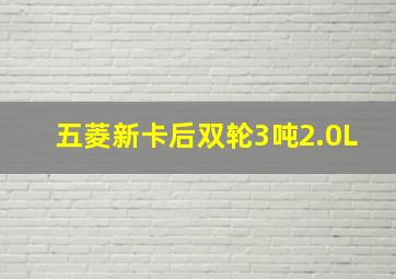 五菱新卡后双轮3吨2.0L