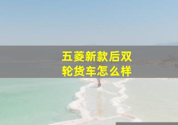 五菱新款后双轮货车怎么样