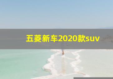 五菱新车2020款suv