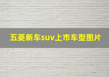 五菱新车suv上市车型图片