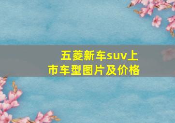 五菱新车suv上市车型图片及价格