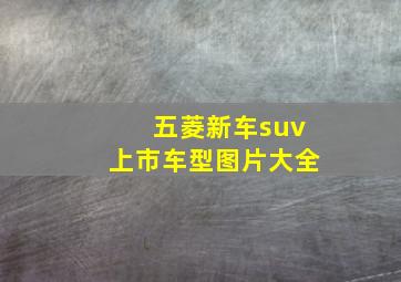 五菱新车suv上市车型图片大全