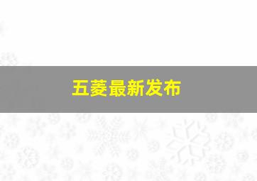 五菱最新发布