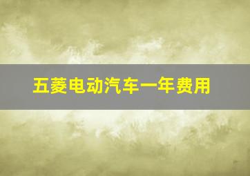 五菱电动汽车一年费用