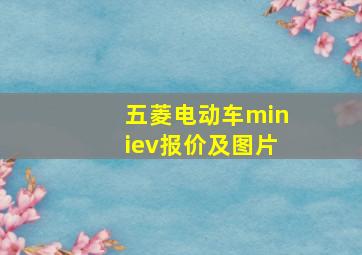 五菱电动车miniev报价及图片