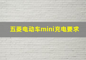 五菱电动车mini充电要求