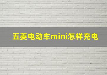 五菱电动车mini怎样充电