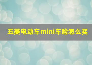 五菱电动车mini车险怎么买