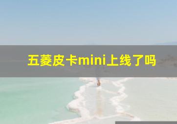 五菱皮卡mini上线了吗