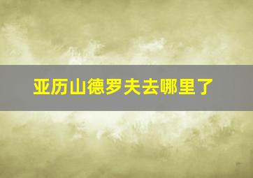 亚历山德罗夫去哪里了