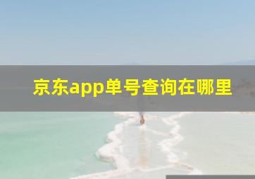 京东app单号查询在哪里