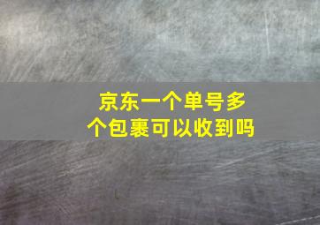 京东一个单号多个包裹可以收到吗