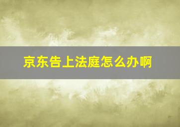 京东告上法庭怎么办啊