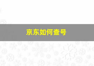 京东如何查号