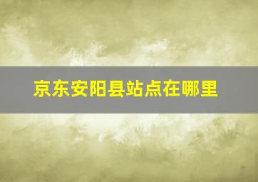 京东安阳县站点在哪里