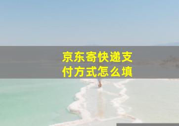 京东寄快递支付方式怎么填