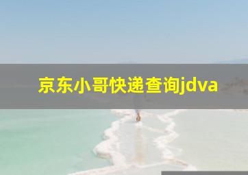 京东小哥快递查询jdva